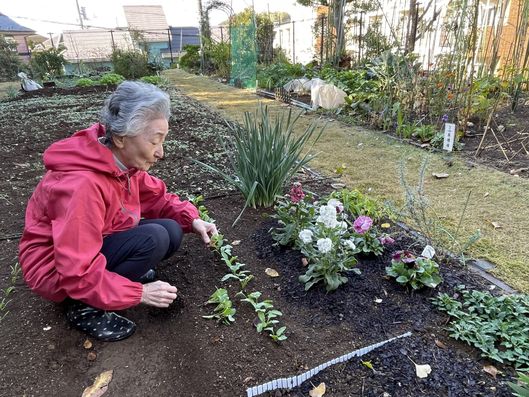 菜園スペース②