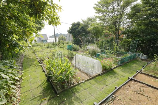 菜園スペース①