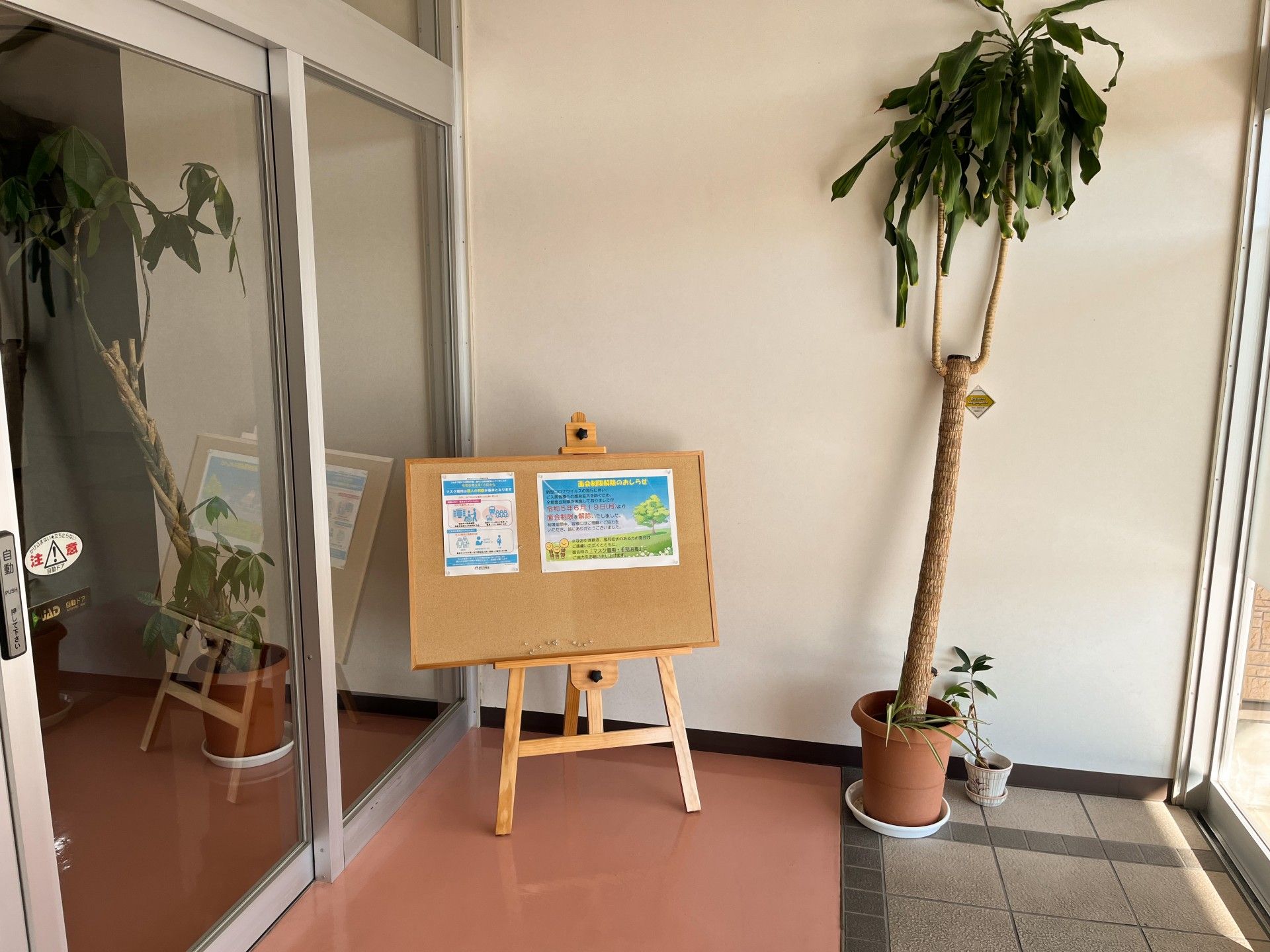 エントランスに掲示板と植物
