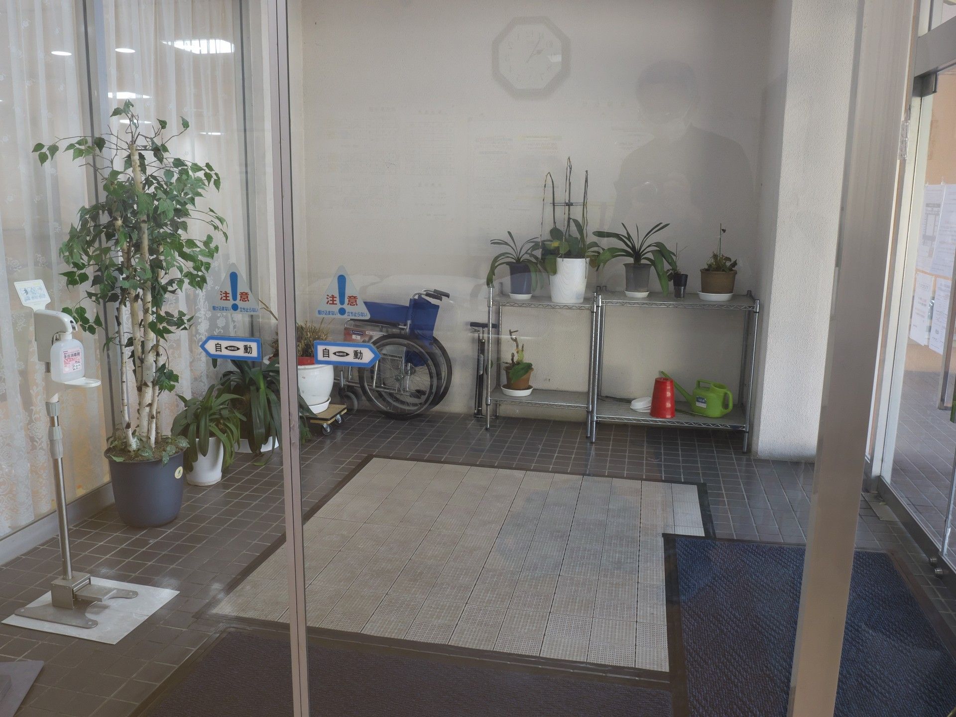 植物が並ぶエントランス