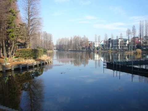 住宅街の中にあるオアシスのような公園。池の周りには数々の植物が植えられている。自然の中で散歩を楽しむことができる。