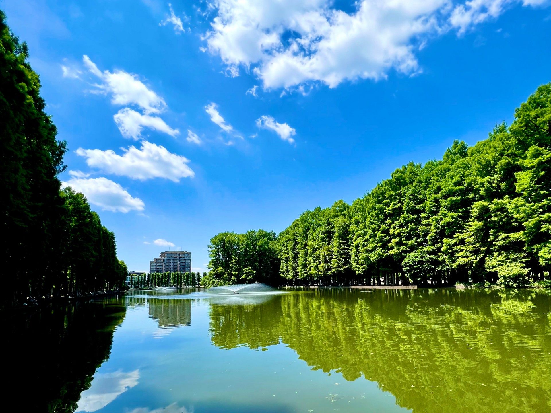青空と池の風景