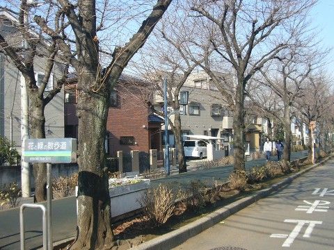 施設から徒歩圏内にある公園から約２キロ続く車道と分離され整備された散歩道。春はサクラ、初夏にはアジサイが美しく咲く。