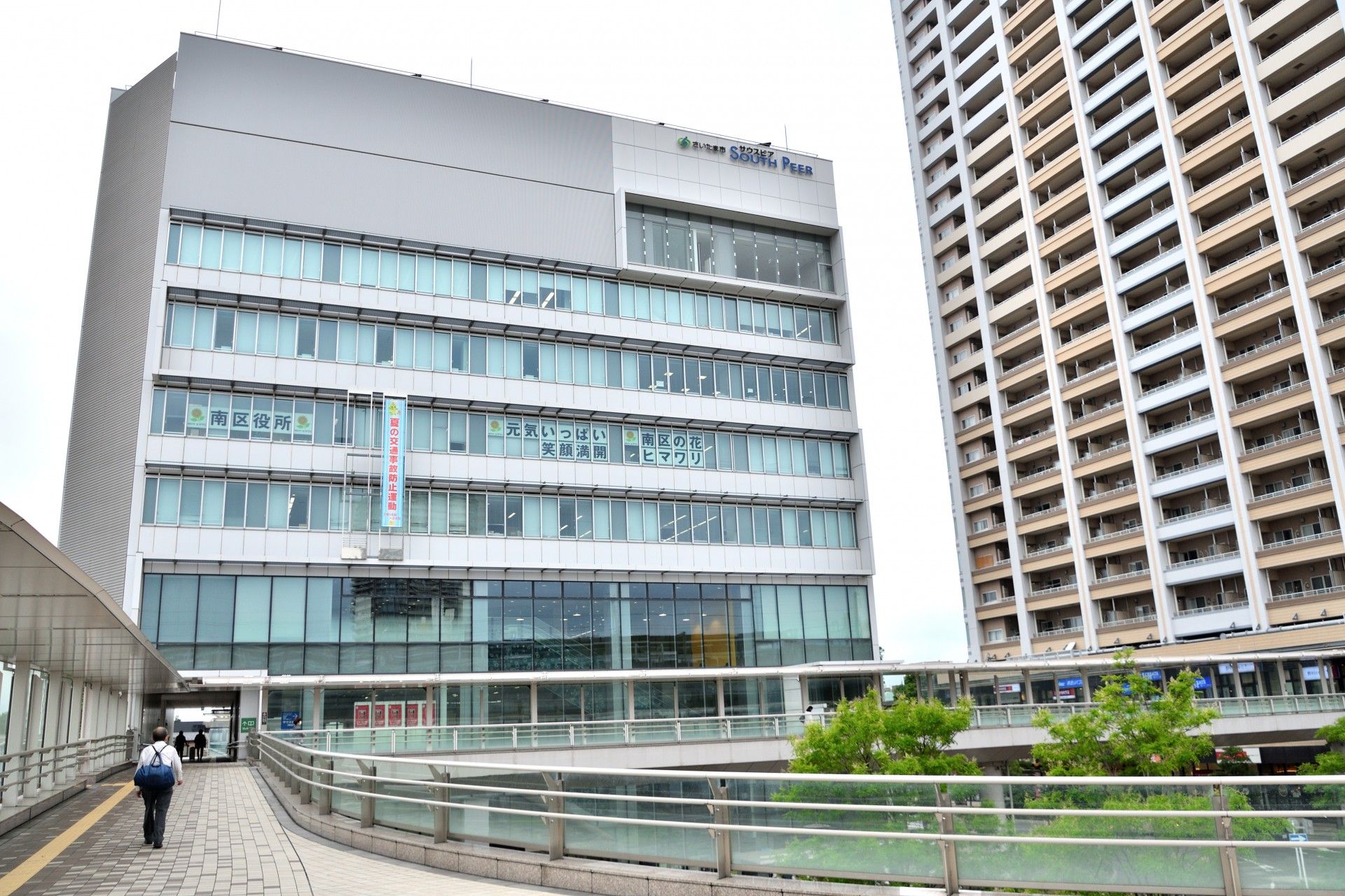 緑道の横にある沼にはカモやシラサギも集まり、夏にはハスの花も見られる。木々が茂り散歩道として整備されている。