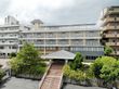 緑に囲まれた建物の外観