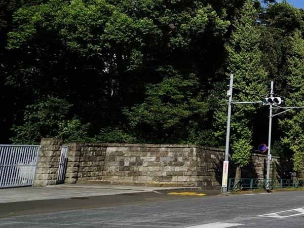 レンガの壁の奥には緑豊かな場所があり、手前には大きな道路があり、信号機も設置されている。