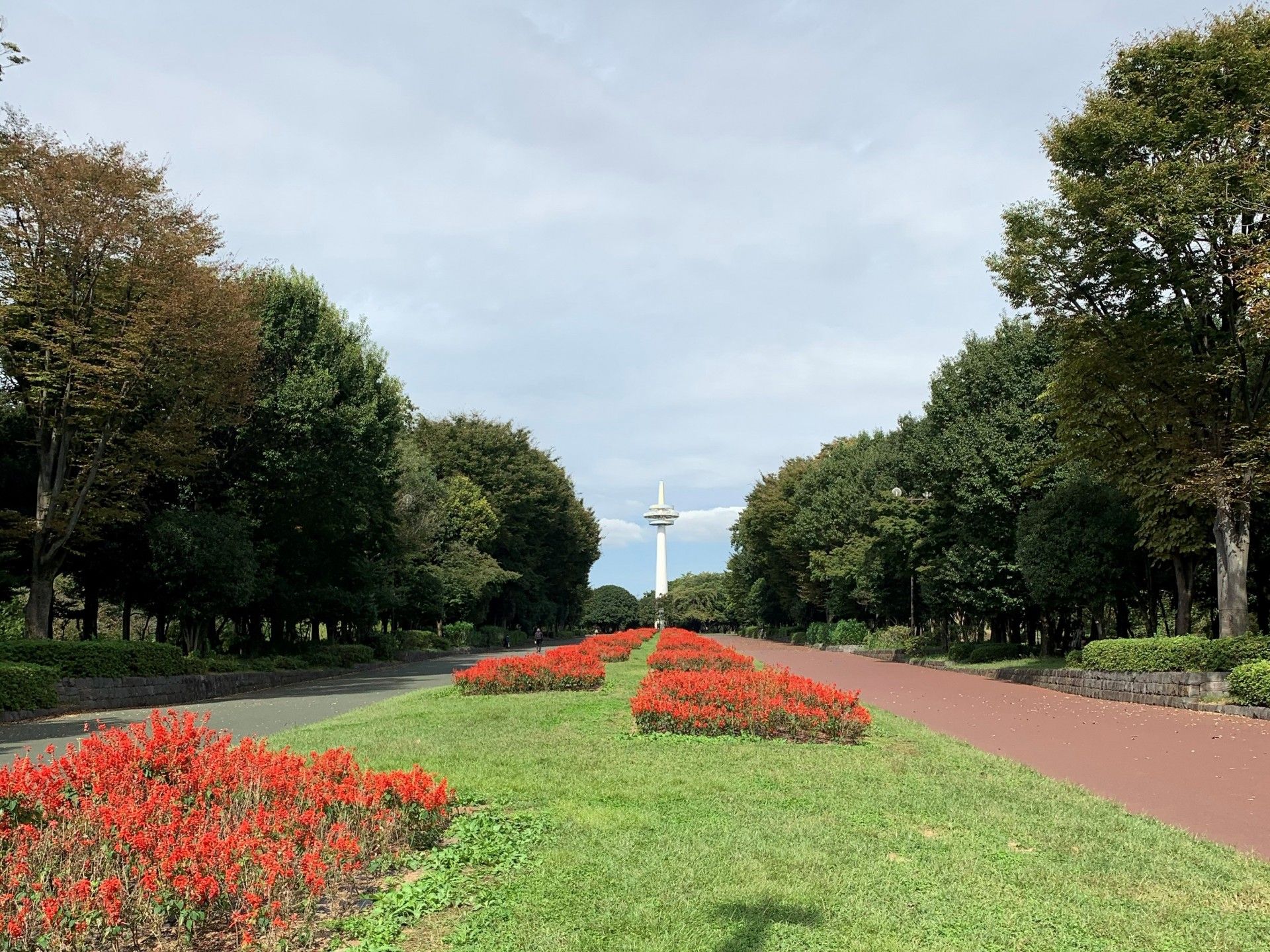 緑豊かな公園には、ランニング用のコースが整備されている。ウォーキングや散策にも最適なスポットである。
