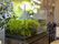 水槽と植物のある空間