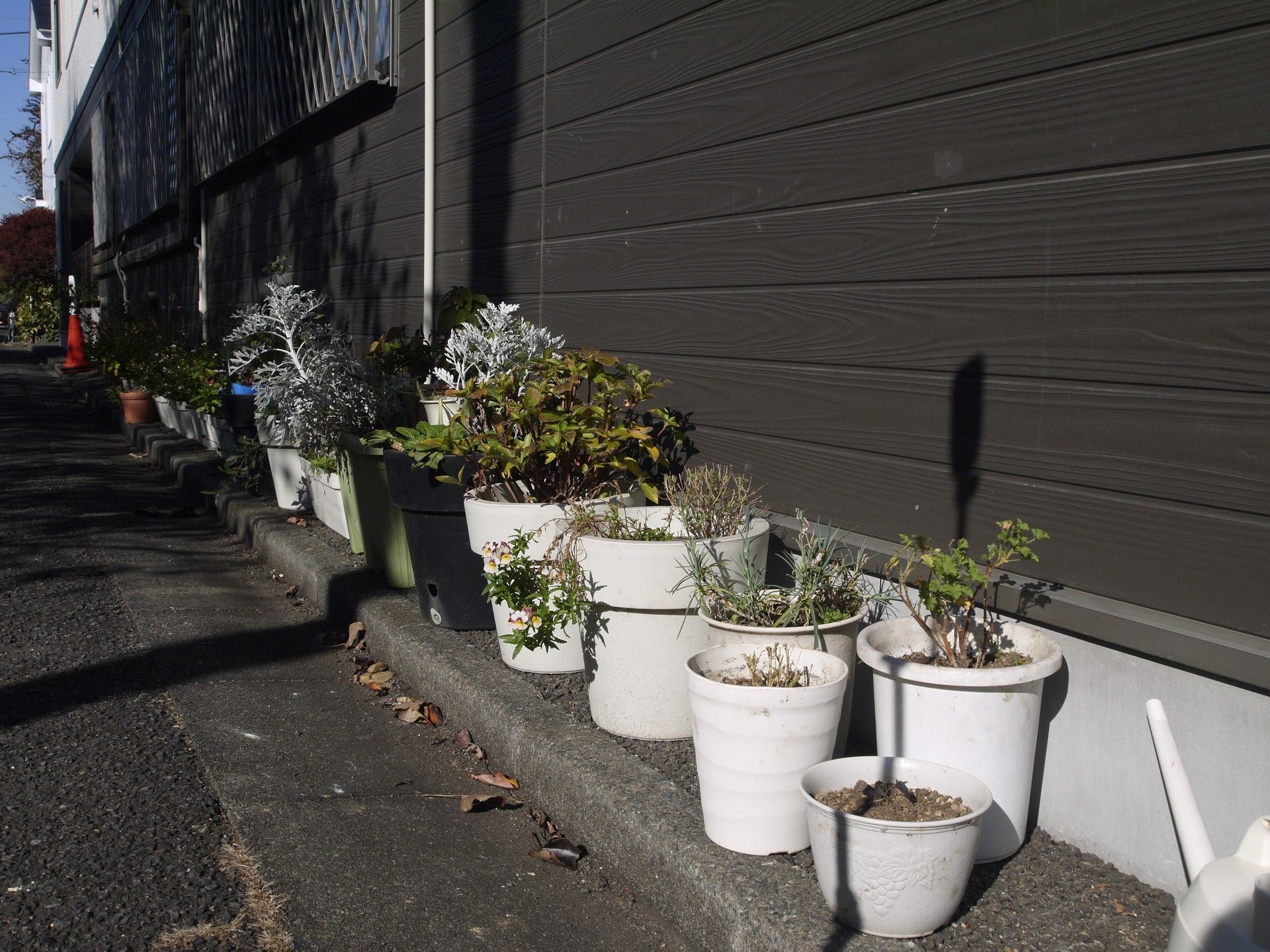 外に植物が並ぶ居室