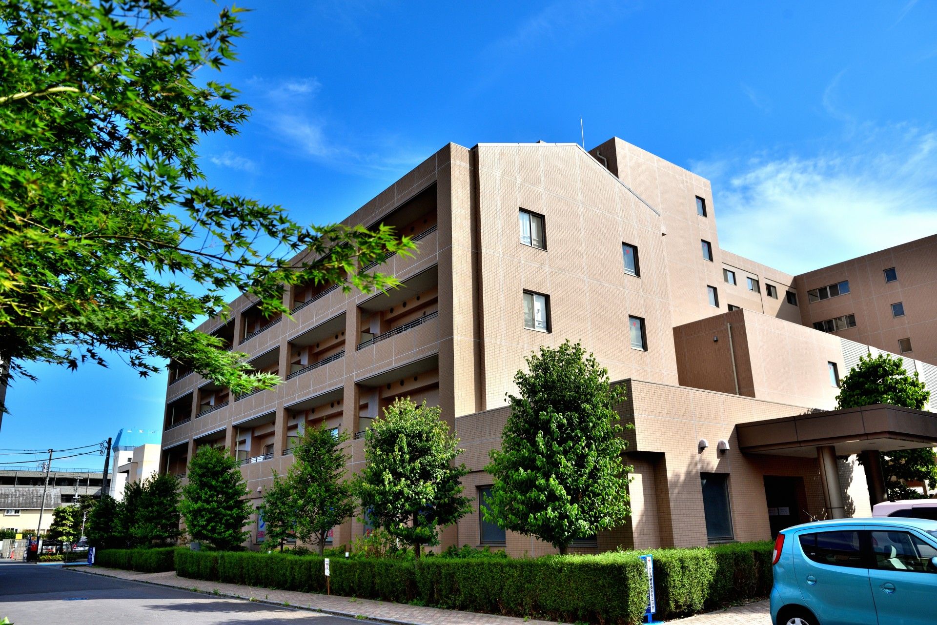 さまざまなタイプのダイニングテーブルや椅子が置かれている。壁沿いには木製の食器棚やテレビが置かれている。