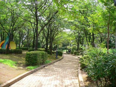木々が生い茂る公園がある。歩道はきれいに整備されている。幅が広く、車椅子をご利用の方も安全に通ることができる。