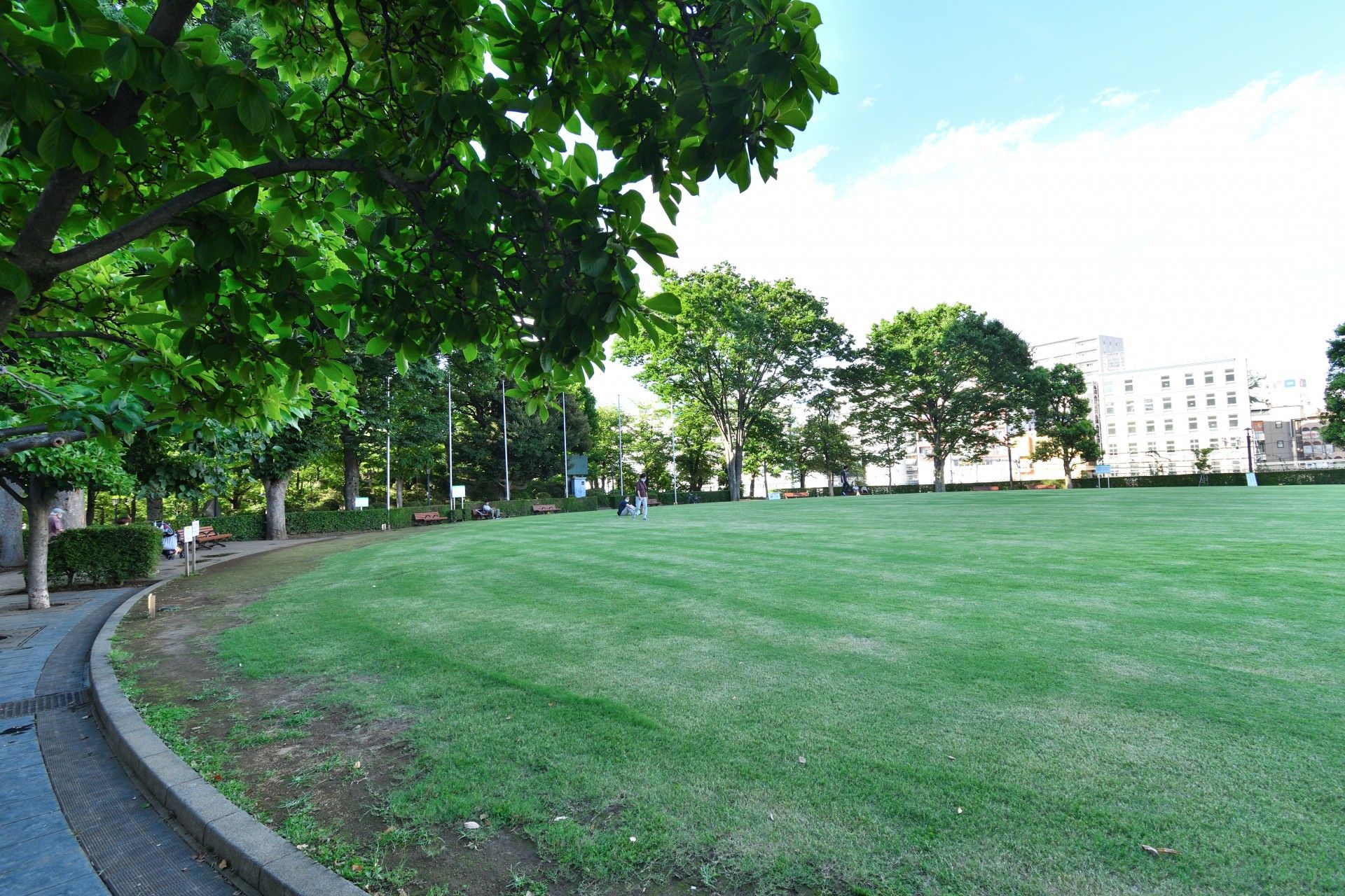 大型の複合商業施設やビルなどが立ち並ぶ繁華街である。広々した高架の上を行き交う人たちであふれている。