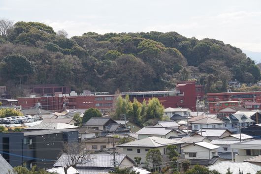 屋上からの景色