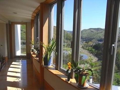共用廊下の窓際には鉢に植えられた観葉植物が置かれており、入居者様は日々成長する過程を観察することができる。