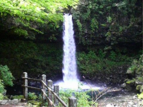 施設の近くには有名な滝がある。入居者様はマイナスイオンを体に受け、心身ともにリラックスすることができる。