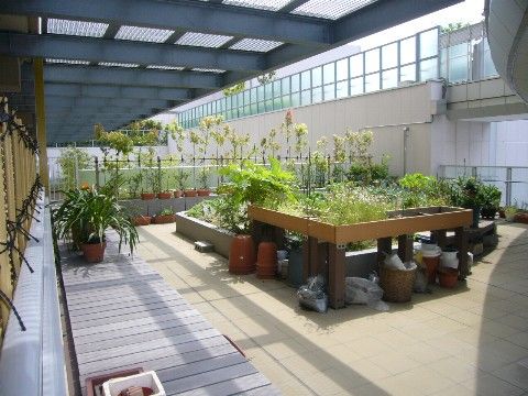 施設内屋上に菜園があり、季節に応じた草花や野菜を栽培することができる。入居者様に収穫していただき、好評である。