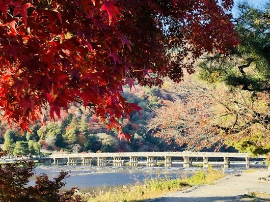 嵐山の格式にふさわしい生活環境