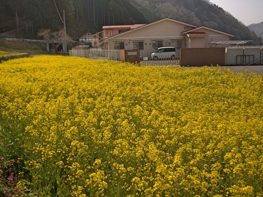 サポート