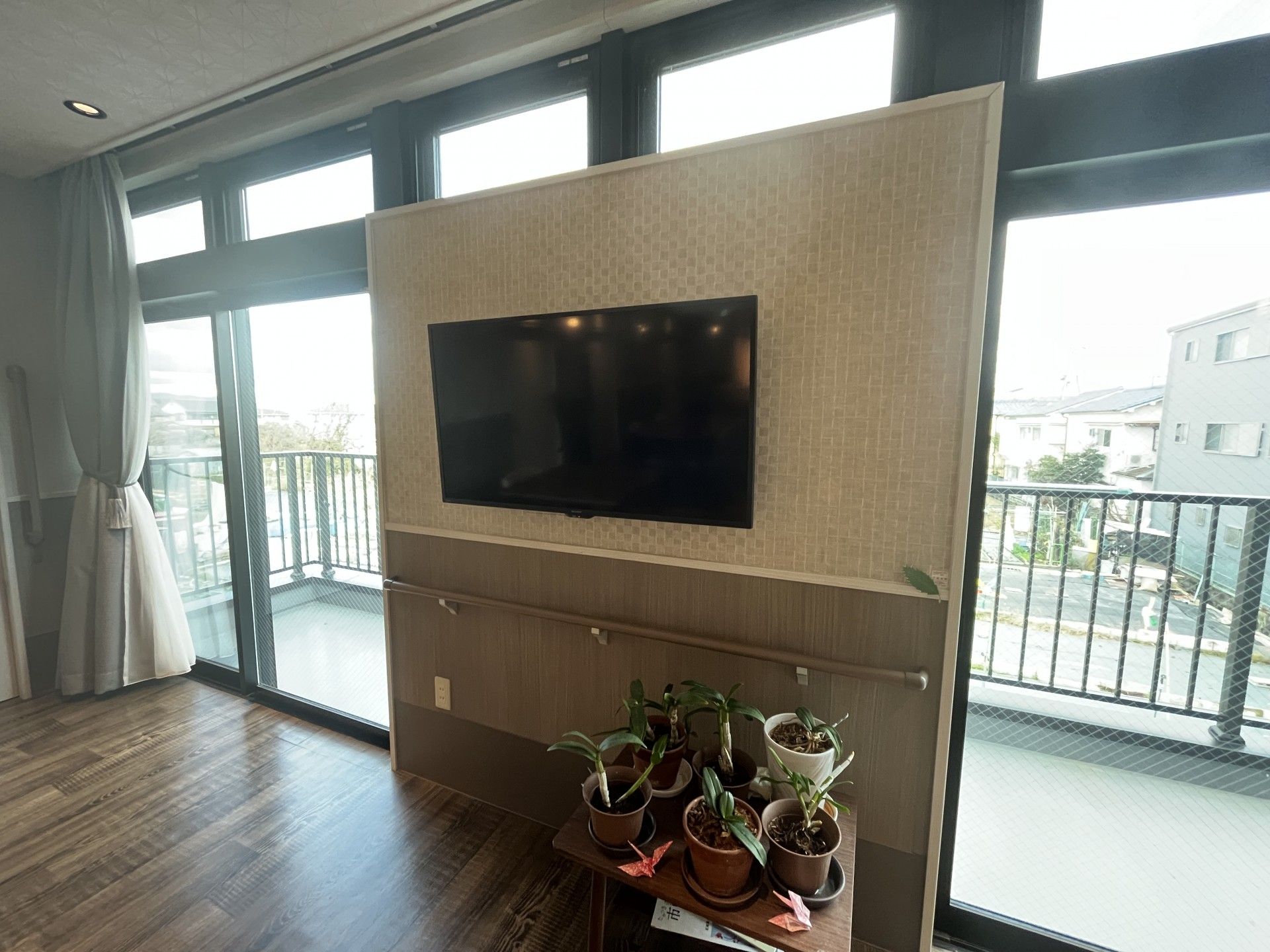 テレビと植物のある部屋