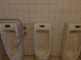 介護施設の明るいトイレの内部