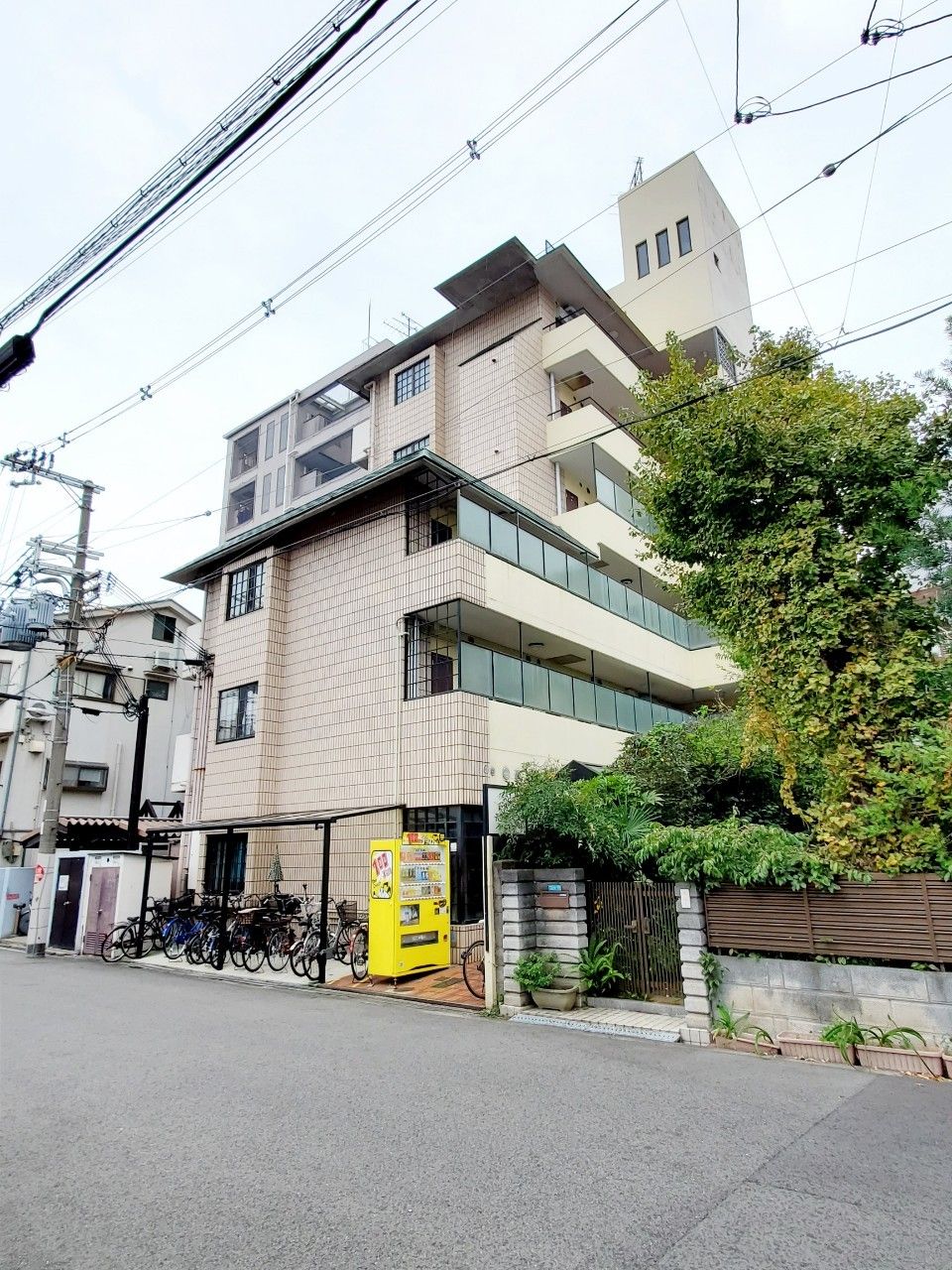 白いゆったりとした服を着た高齢女性と車いすの高齢男性が笑顔で話している。
