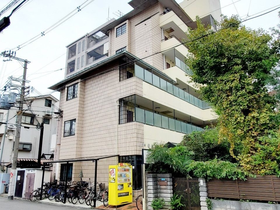 車いすの高齢男性と笑顔で話している白いゆったりとした服を着た高齢女性。