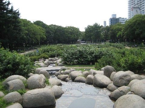 施設周辺には、自然に触れ合える環境が整っている。小川の流れる音が心地よく、癒しの時間を与えてくれる。