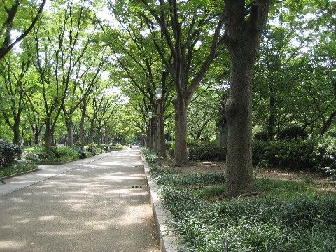 ウォーキングしやすい散策路。木陰になっているところがあるので、涼みながら気持ちよく運動していただける。