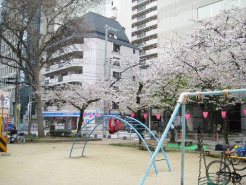 施設のすぐ近くに公園がある。桜が植えられており、春にはお花見が楽しめる。遊具があるので賑やかな雰囲気である。