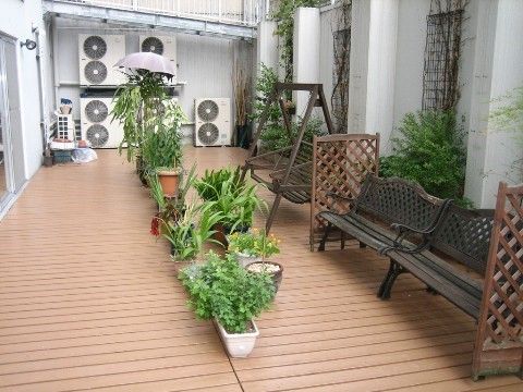 植木鉢などに入ったたくさんの植物のあるウッドデッキが、食堂から直接アクセスできる。ベンチがあるので、日光浴ができる。
