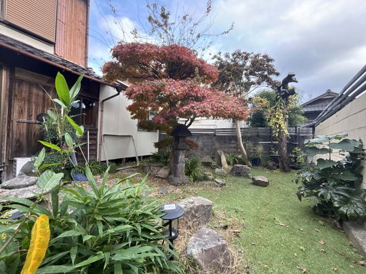 庭