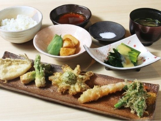 福の棟などの山菜の天ぷらが並べられた長い皿が手前にあり、野菜の煮物などが小鉢に盛られ、白いご飯もある。