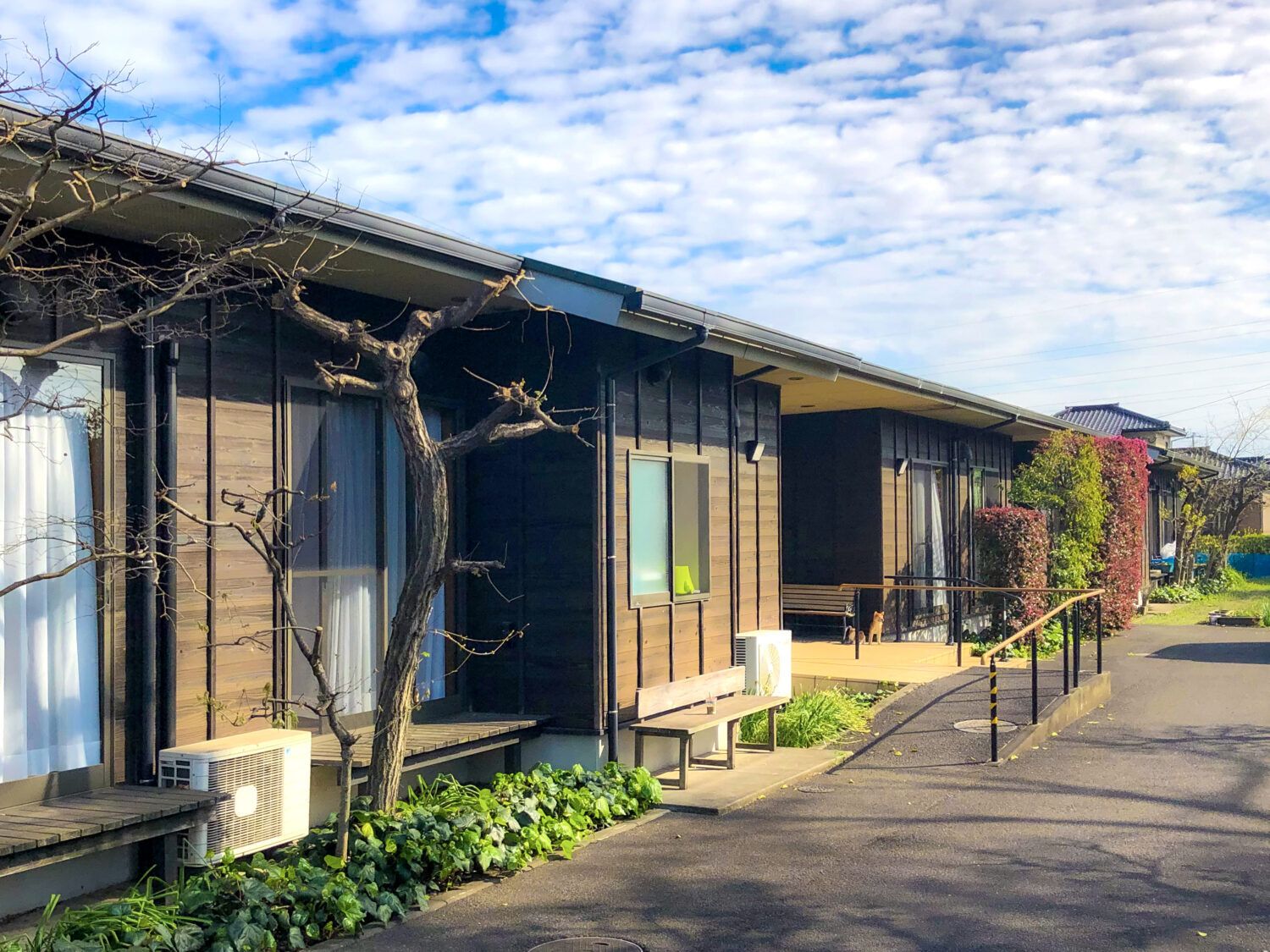 たくさんの草木が植えられた敷地にある平屋建ての建物の玄関先には手すり付きのスロープがある。
