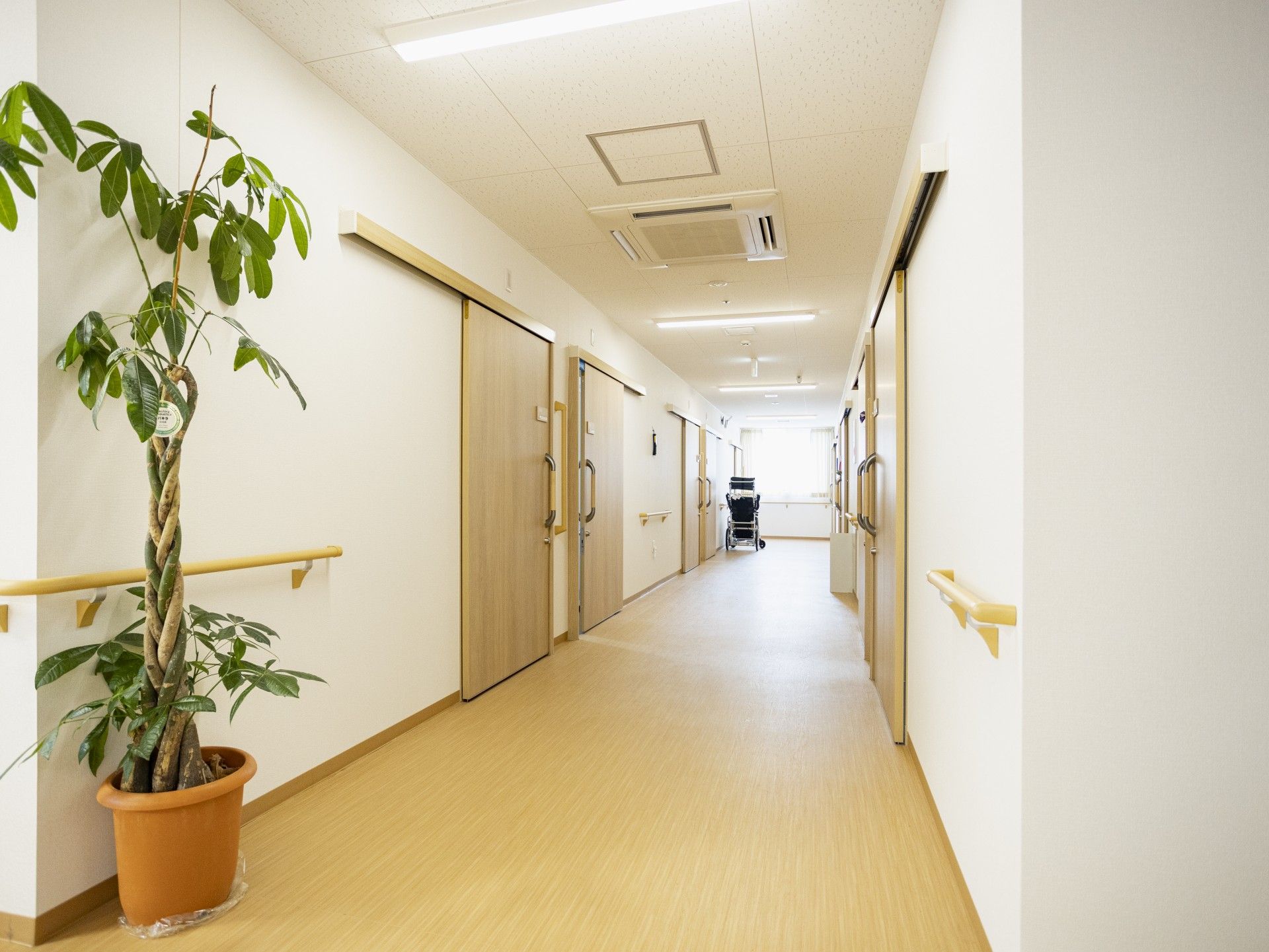 新聞を読む高齢の男性