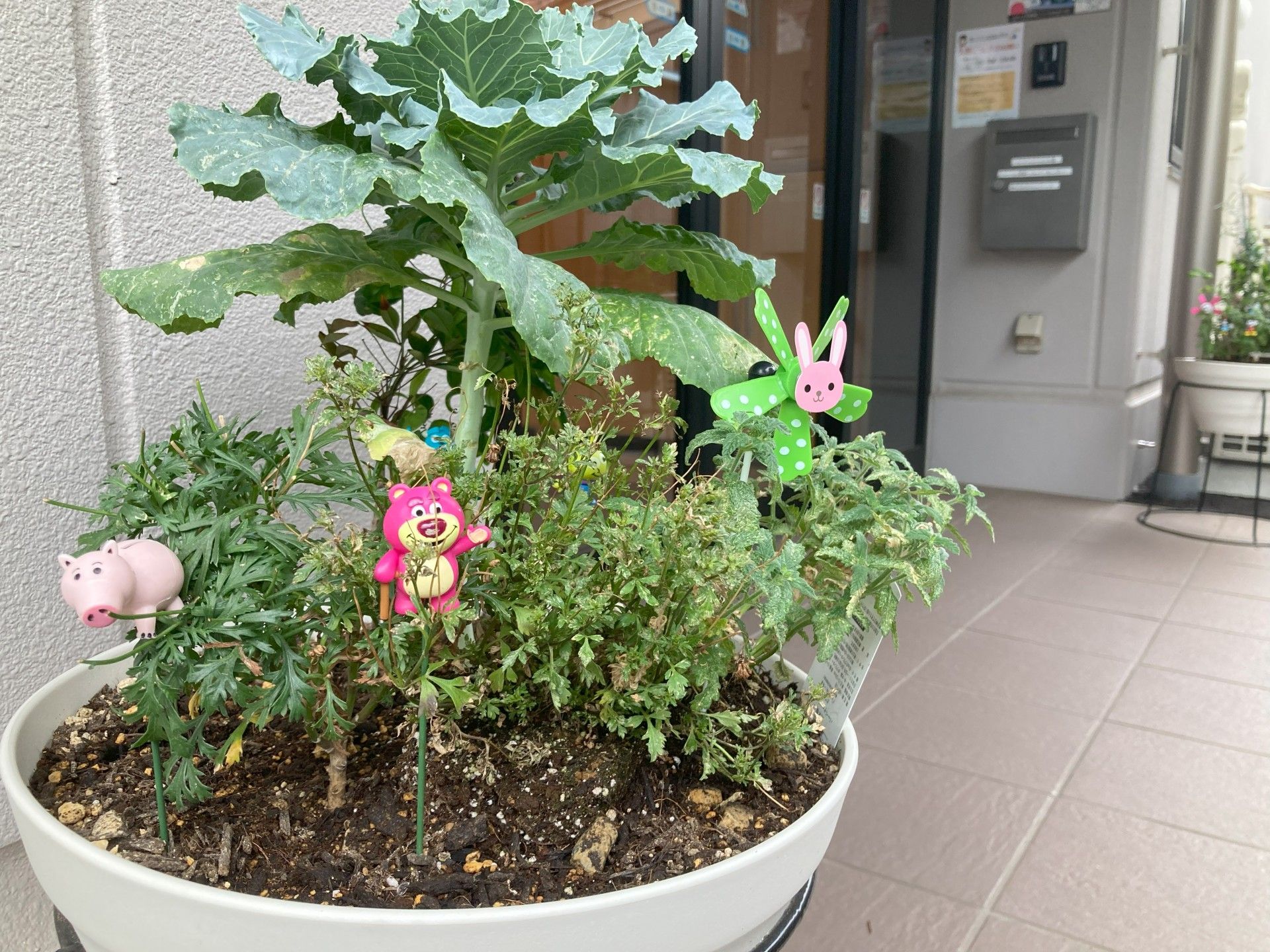 入口横の植物と飾り