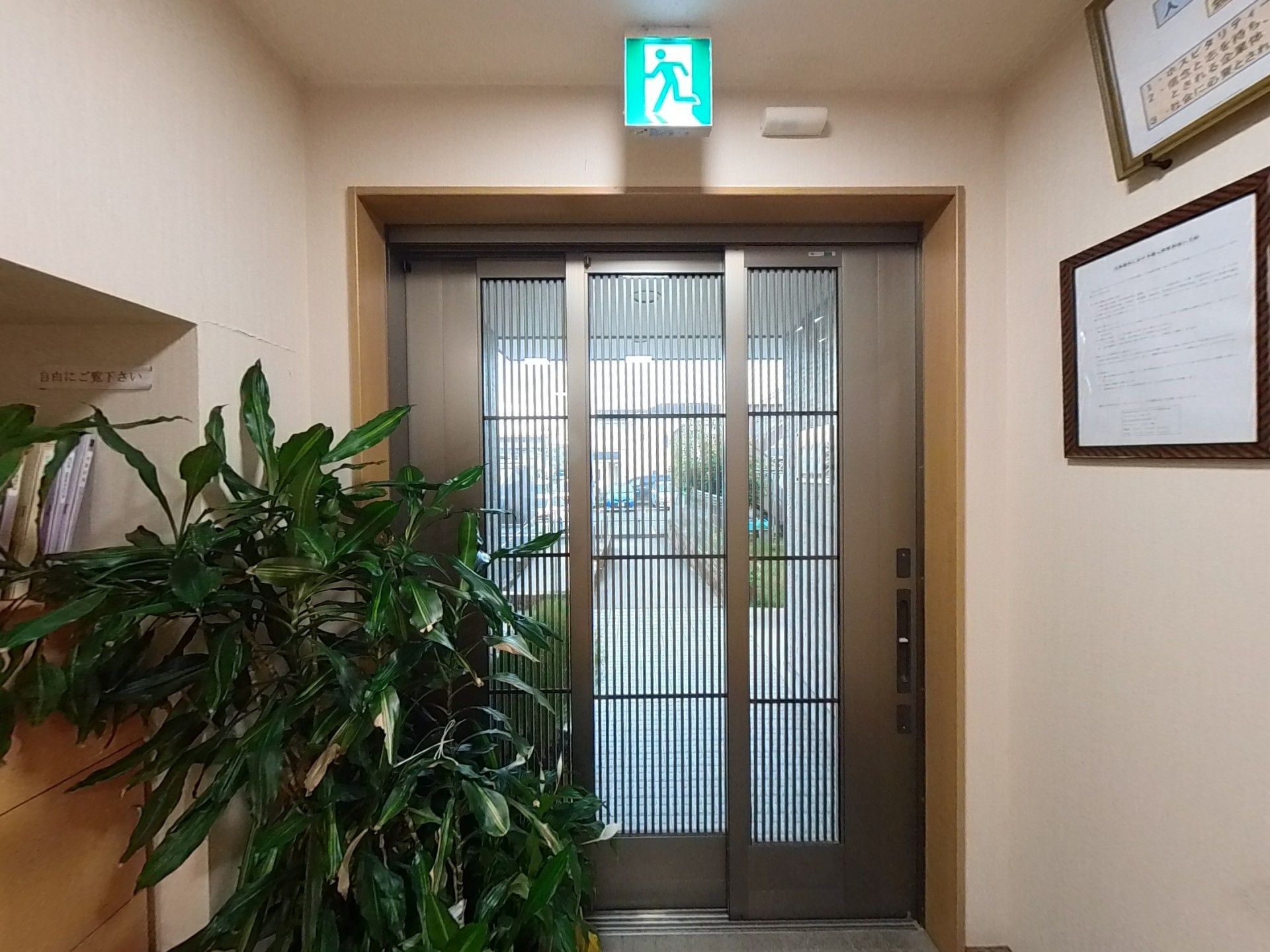 大きな観葉植物がある玄関
