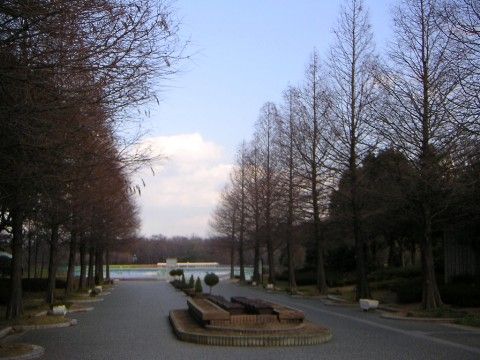 近隣の植物園の入口である。奥にある池に向かう道は広く、中央には低い植栽、道の両側には背の高い大きな木が植えられている。
