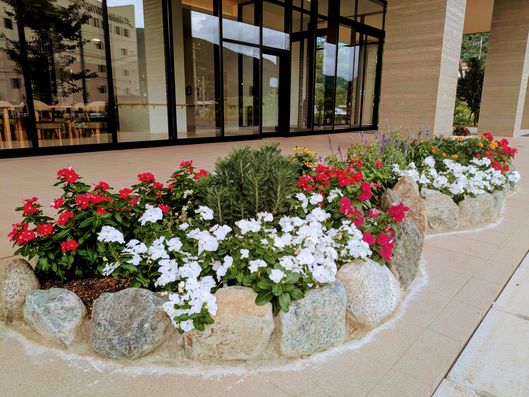 エントランス前２