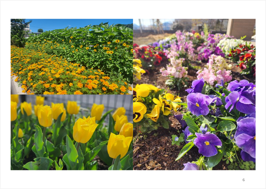 エントランス前