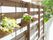 癒しの植物が並ぶバルコニー