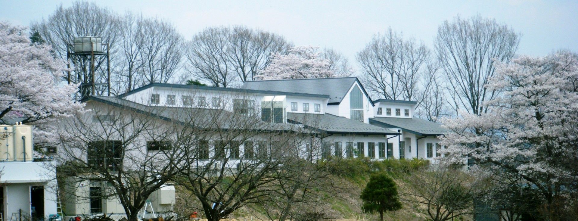 桜に囲まれた施設外観