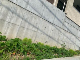 緑豊かな外観エリア