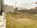 広々とした施設の中庭