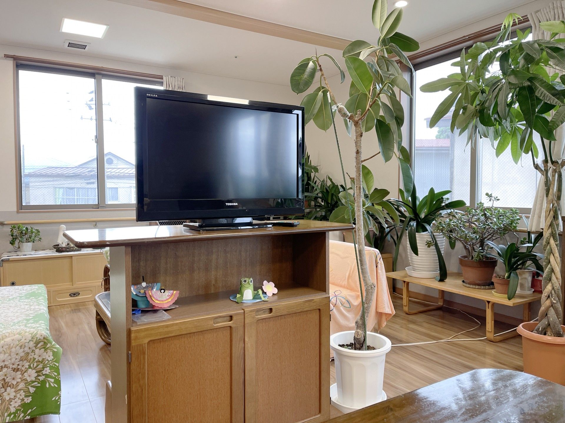 広々とした明るい居室