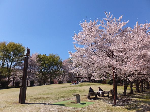 赤いチューリップが並ぶ広大な花畑は、季節ごとに花が植え替えられる。敷地内にはほかに、園内で収穫された野菜を使ったレストランなどもある。