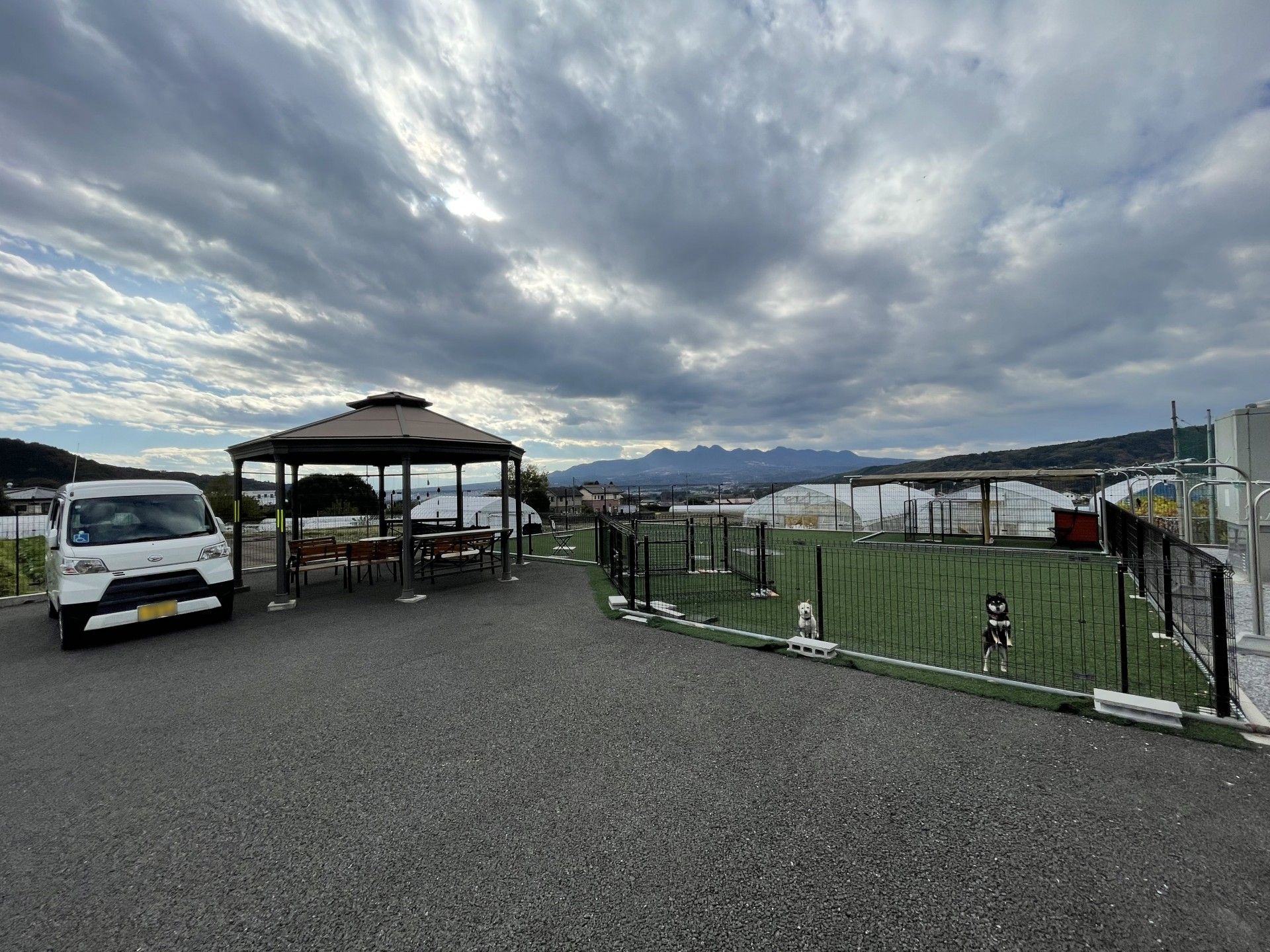 広場と犬のいる風景
