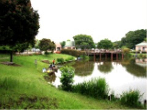 水辺や緑に囲まれた大きな公園が施設の近くにある。自然を身近に感じて、気分をリフレッシュすることができる。