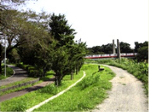 すこや家・志木柏町（介護付有料老人ホーム）の周辺環境。ご来訪いただいたご家族・ご友人とお散歩をお楽しみいただける静かな公園がございます。