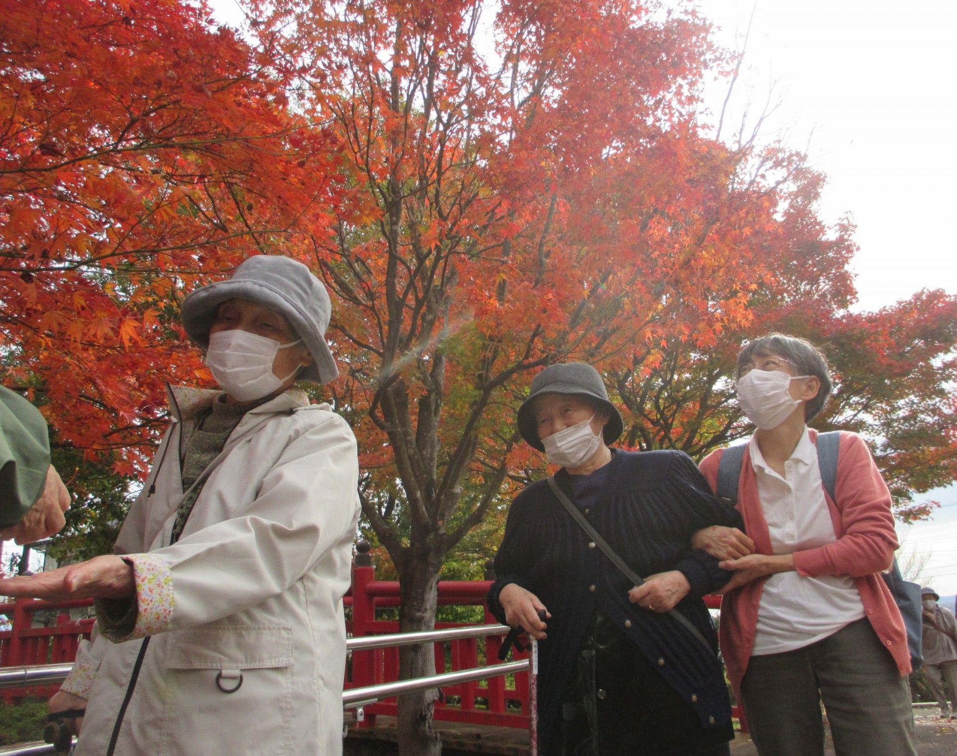 紅葉を楽しむ人々