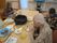 ご入居者様３名がそれぞれクレープにフルーツを添えて、食している様子。